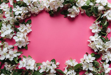 Frame of blossoming apple trees and green leaves on a pink background made of pastel paper. Copy space and space to insert text.