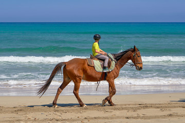 Young Man On Horseback In Front Of A Deep Blue Sea