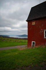 Red barn with vineyard an lake