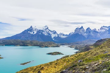 Crédence de cuisine en verre imprimé Cuernos del Paine Beautiful panoramic view of golden grass and aqua blue Pehoe lake with small island with nature cuernos mountains peak with cloud in autumn, Torres del Paine national park, south Patagonia, Chile