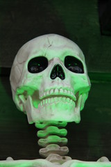 Green Light Shining on a Scary Human Skull Figure.