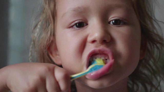 Portrait of little cute kid girl is intensively brushing her teeth with toothbrush and looking at camera in bathroom, face closeup. 