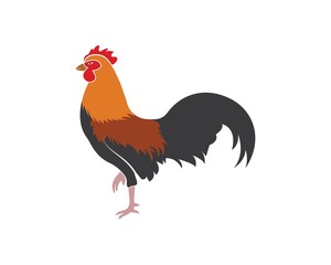 rooster logo vector illustration template