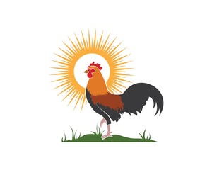 rooster logo vector illustration template