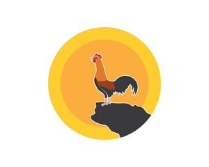 rooster logo vector illustration template
