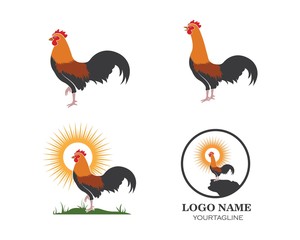 rooster logo vector illustration template