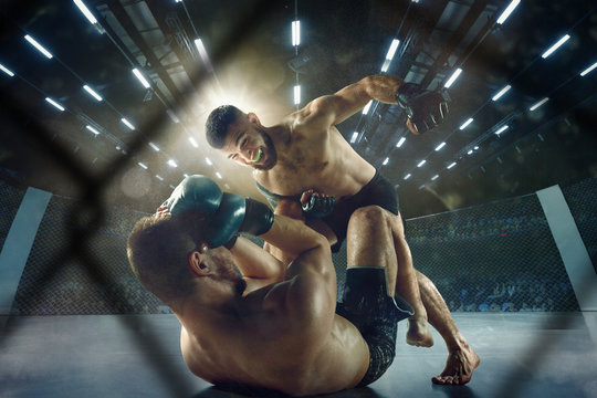 Getting trophy. Two professional fighters posing on the sport boxing ring. Couple of fit muscular caucasian athletes or boxers fighting. Sport, competition and human emotions concept.
