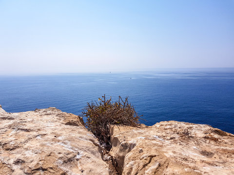 View from the island of Benidorm, Spain. Image of the view from the top with all the Mediterranean sea in the background and low scrub and rock in the foreground.