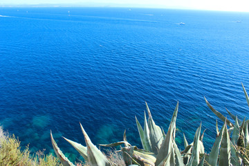 Fototapeta na wymiar The Mediterranean Sea from Bonifacio (France)
