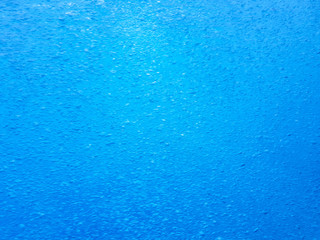 Image of the seabed with fish and natural life on the ferry between Benidorm and the island of Benidorm, Spain.