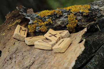 Runic alphabet. Wooden runes lie on a dry bark from a tree. Near yellow moss. The concept of the element
