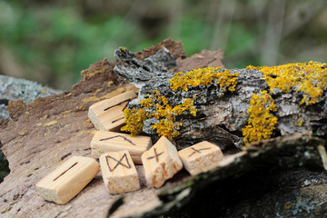 Side view of the Wooden runic alphabet, which lie on a dry bark from a tree. Near yellow moss. Runic circle in the element