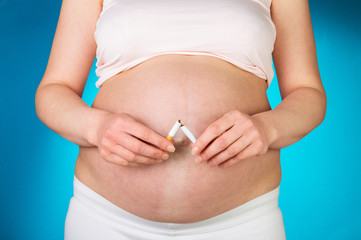 Concept of quitting smoking. Pregnant woman with a broken cigarette closeup