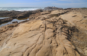 Fototapeta na wymiar Point Lobos Shoreline