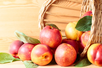 Nectarines in basket on a wooden table.