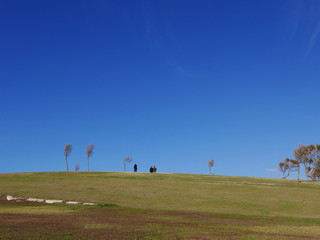 Obraz na płótnie Canvas suggestiva immagine di colline verdi e solitarie a Tel Aviv in Israele