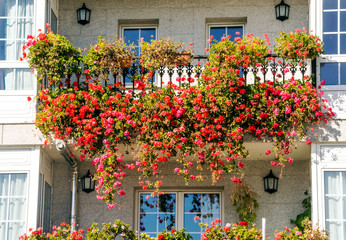 Fototapeta na wymiar Windows with flowers in the balcony in a wall