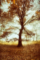 Abstract tree with grunge effect