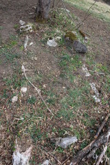 Naklejka na ściany i meble The ruins of necropolis near the ancient stone Klek fortress on the hill near Zlatar mountain, Serbia