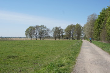 Fototapeta na wymiar road in the countryside,Wiehengebirge,Radfahrer,biker