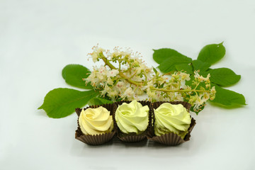 Yellow marshmallow and branch of chestnut flower on a white surface are isolated. Copy space. Close...