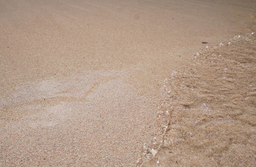 Sand on the beach on the beach close-up.