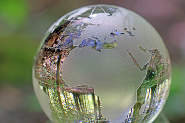 Weltkugel aus Glas im Wald