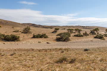 Fototapeta na wymiar Gobi desert, green shrubs along the dried river bed, landscape, Mongolia.