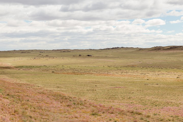 Obraz premium Mongolian steppe, desert landscape with cloudy sky