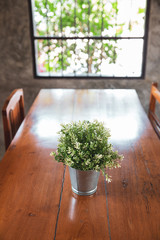 dining table with chairs and plants