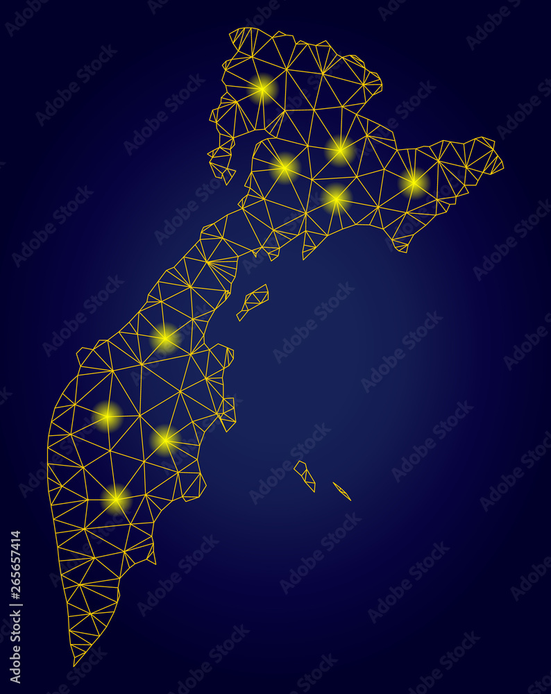 Poster yellow mesh vector kamchatka map with glitter effect on a dark blue gradiented background. abstract 