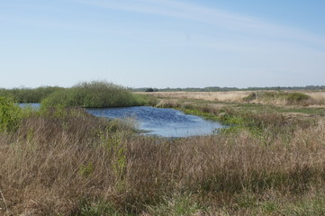 Moor;Torf;Naturschutzgebiet,sea,lake