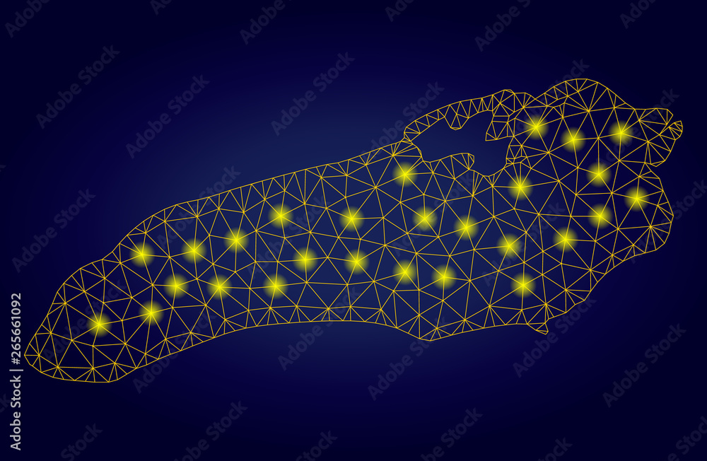 Poster yellow mesh vector ontario lake map with glare effect on a dark blue gradiented background. abstract