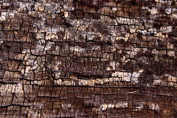 Wooden Pattern Textures. Wooden Texture Background. Natural Backdrop.