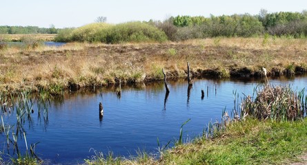 Moor;Torf;Naturschutzgebiet,sea,lake