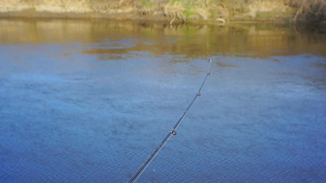End of the fishing rod is bent from the bite of fish on feeder fishing.1920X1080 Full Hd.	
