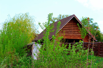 Obraz premium Ecological Small Wooden House. Wooden House In The Forest. Nature, Travel Concept.