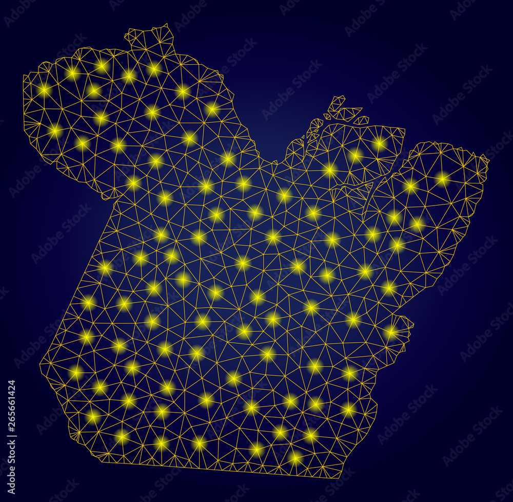 Poster yellow mesh vector paral state map with glare effect on a dark blue gradiented background. abstract 