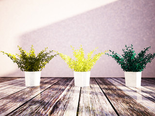 three vases with the plants in the room, 3d rendering
