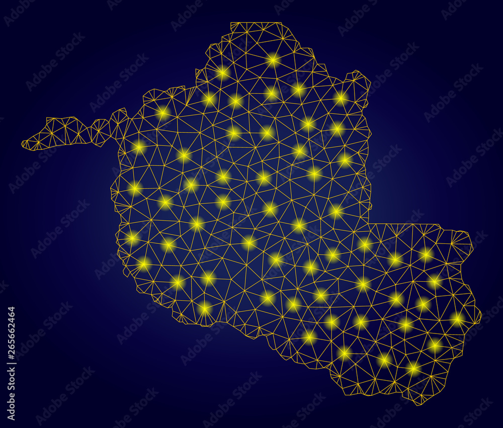 Poster yellow mesh vector rondonia state map with glare effect on a dark blue gradiented background. abstra