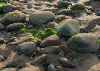 stone pebbles on the beach in sunset light