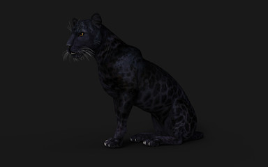 3d Illustration Black Panther Isolate on White Background with Clipping Path, Black Tiger