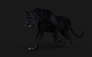 3d Illustration Black Panther Isolate on White Background with Clipping Path, Black Tiger