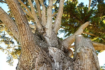 April 2019: San Francisco