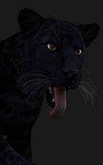 3d Illustration Black Panther Isolate on White Background with Clipping Path, Black Tiger