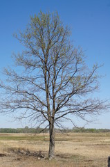 Moor;Torf;Naturschutzgebiet,sea,lake