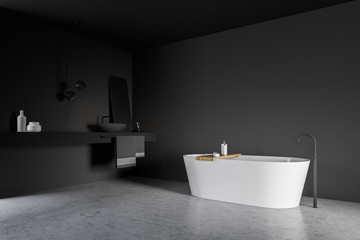 Fototapeta na wymiar Grey bathroom corner, tub and sink