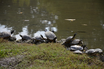 Parco Sempione in Milan 