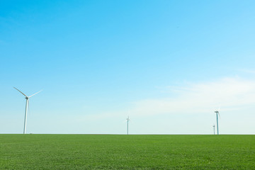 Fototapeta na wymiar Wind turbines in a green grass field, space for text. Beautiful spring greenery
