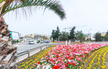 Obraz premium Flowers arrangement and roundabouts 